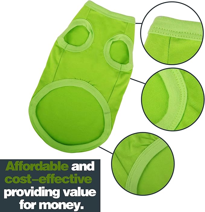 Elevate Your Dog's Fashion Quotient with Colorful and