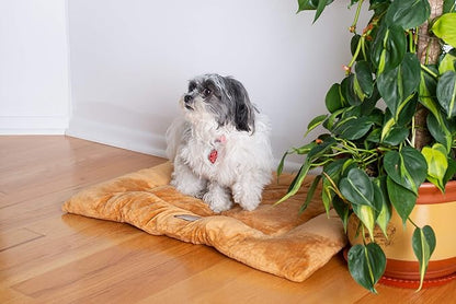 Armarkat Pet Bed Mat 27-Inch by 19-Inch by 2.5-Inch M01-Medium M01CZS-M)