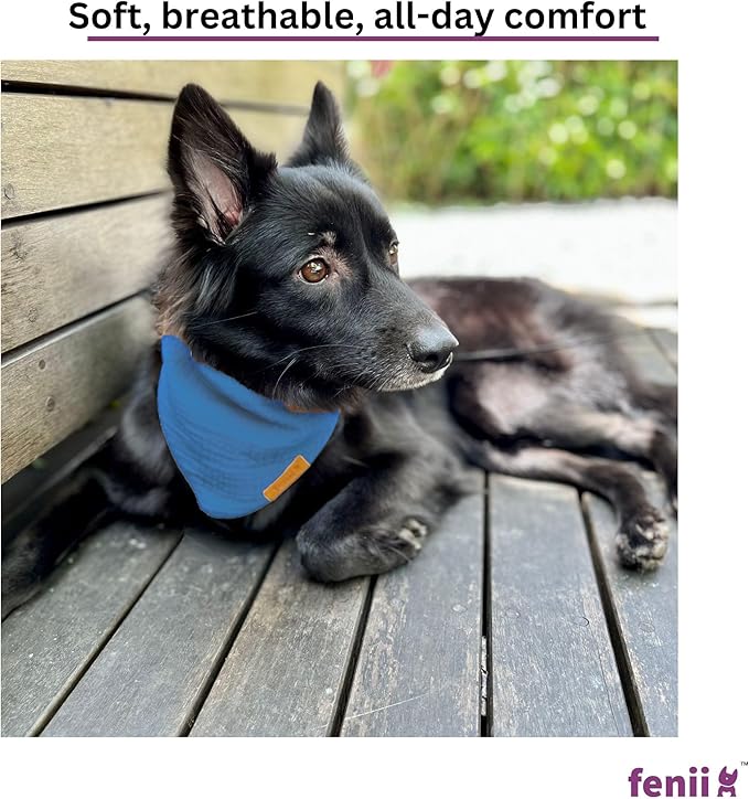 Premium Cotton Dog Bandanas 2 Pack