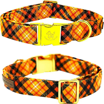 Elegant little tail Fall Dog Collar