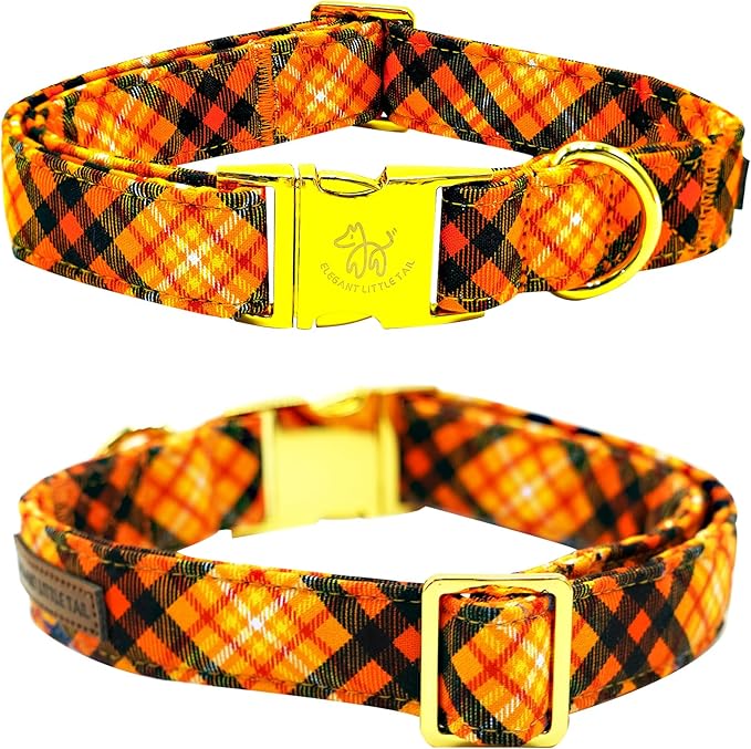 Elegant little tail Fall Dog Collar