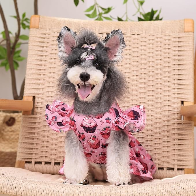 CuteBone Dog Dress Princess Puppy Birthday Dresses FX02S