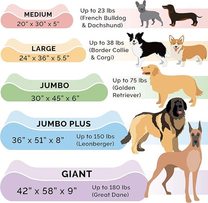 Furhaven Memory Foam Dog Bed for Large/Medium Dogs w/ Removable Washable Cover 38 lbs