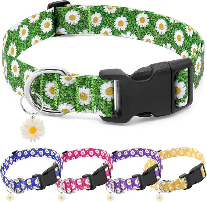 BiPawTi Green Dog Collars for Large Dog