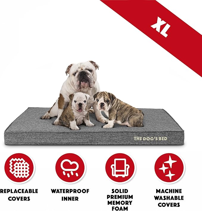 The Dog’s Bed Orthopedic Memory Foam Dog Bed 46x28, Pain