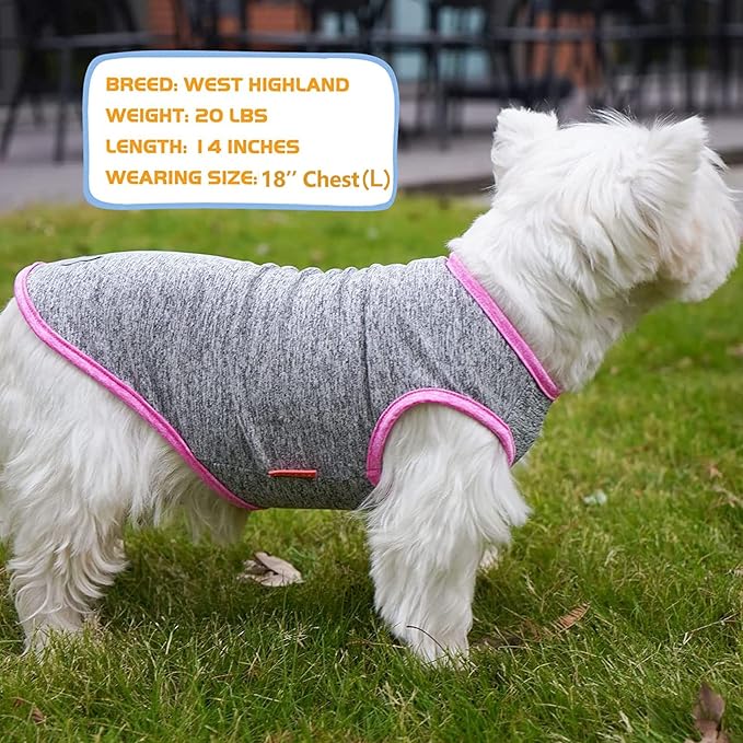 KYEESE 2 Pack Dog Shirts Quick Dry Soft Stretchy Dog T-Shirts with Reflective Label Tank Top Sleeveless Vest Dog Clothes for Small Medium Dogs