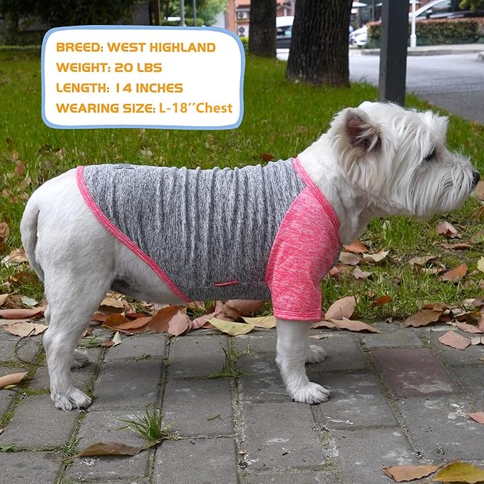 KYEESE 2 Pack Dog Shirts Raglan Sleeve Quick Dry Soft Stretchy Small Dog T-Shirts with Reflective Label Protects Against Foxtails Lightweight Dog Clothes Sun Protection