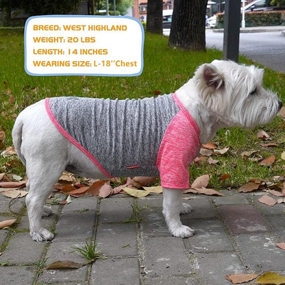 KYEESE 2 Pack Dog Shirts Quick Dry Raglan Sleeve Soft Stretchy Protects Against Foxtails Dog T-Shirts with Reflective Label Dog Clothes for Small Dogs Sun Protection Dog Apparel