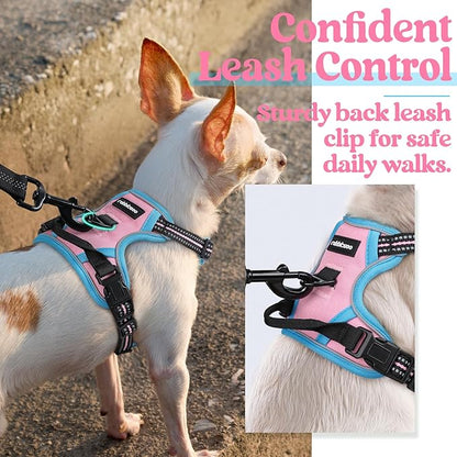 rabbitgoo Dog Harness, No-Pull Pet Harness with 2 Leash Clips, Adjustable Soft Padded Dog Vest, Reflective No-Choke Pet Oxford Vest with Easy Control Handle for Large Dogs, Pink & Blue, X-Small