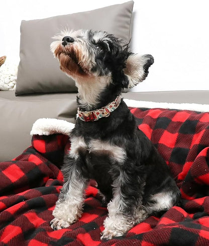 Unique style paws Dog Collar Metal Buckle Collar