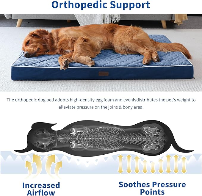 SunStyle Home Orthopedic Dog Beds for XX-Large Dogs