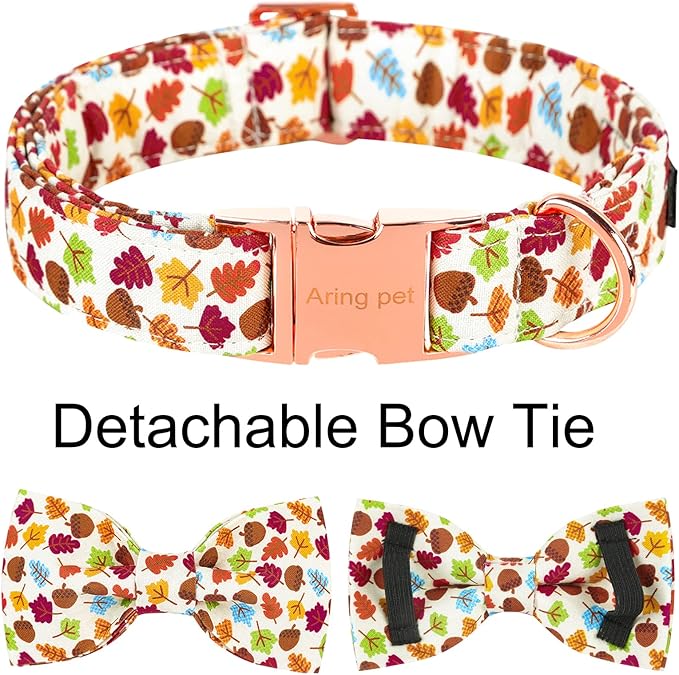 ARING PET Dog Collar Bowtie-Fall Dog Collar with Bow Tie