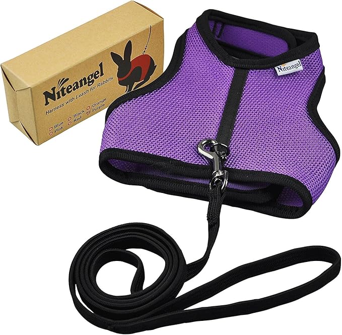 Niteangel Adjustable Soft Harness with Elastic Leash for Rabbits (M, Purple)