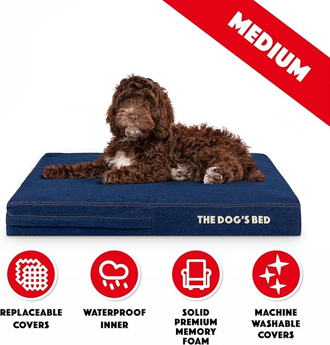 The Dog’s Bed Orthopedic Memory Foam Dog Bed 34x22, Pain