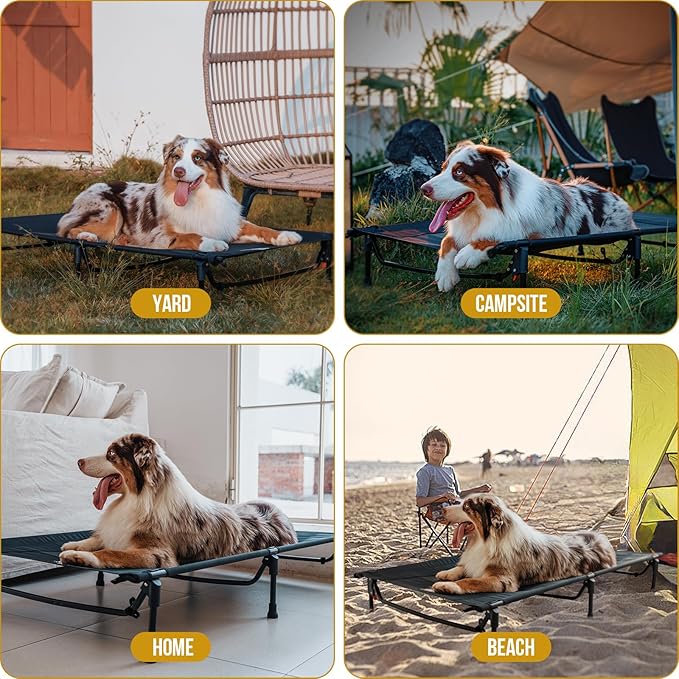 OneTigris Elevated Dog Bed