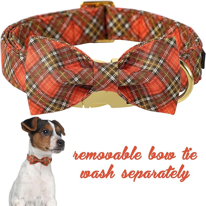Unique Style Paws Cotton Dog Collar with Bow