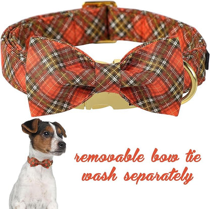 Unique Style Paws Cotton Dog Collar with Bow