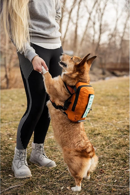 K9 Sport Sack Walk-On | Dog Carrier Dog Backpack with Harness & Storage