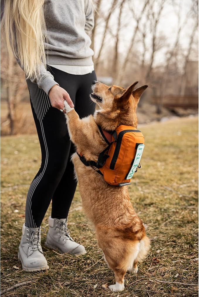 K9 Sport Sack Walk-On | Dog Carrier Dog Backpack with Harness & Storage (Small, Sunset Orange)