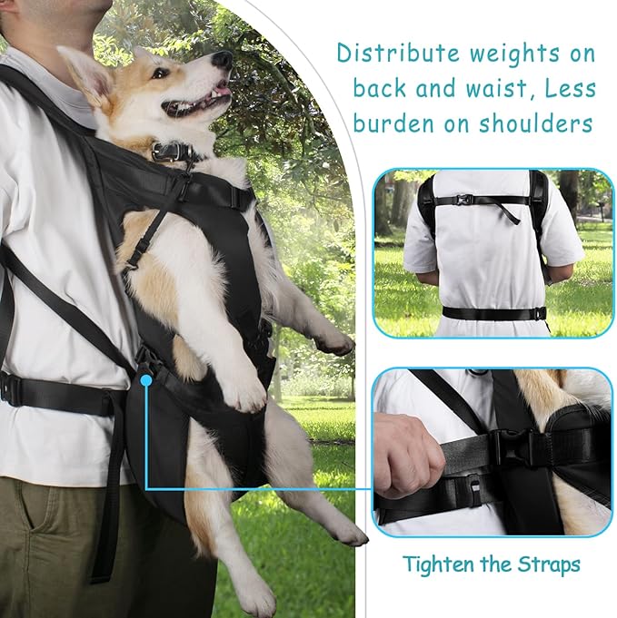 PetBonus Pet Front Dog Carrier Backpacks, Adjustable Dog Backpack Carrier, Legs Out Easy-fit Dog Chest Carrier for Medium Small Dogs, Hands Free Dog Front Carrier for Hiking, Cycling (Black, XL)