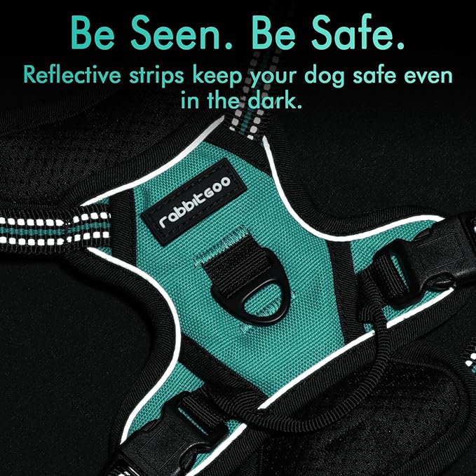 rabbitgoo Dog Harness, No-Pull Pet Harness with 2 Leash Clips, Adjustable Soft Padded Dog Vest, Reflective No-Choke Pet Oxford Vest with Easy Control Handle for Small Dogs, Turquoise, XS