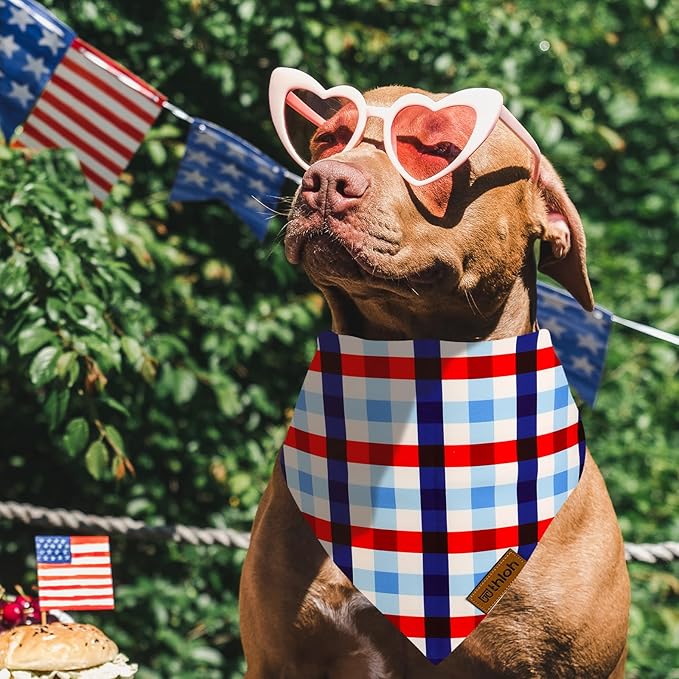 4th of July Dog Bandanas 2 Pack