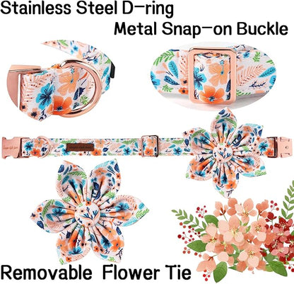 Unique Style Paws Cotton Dog Collar with Bow