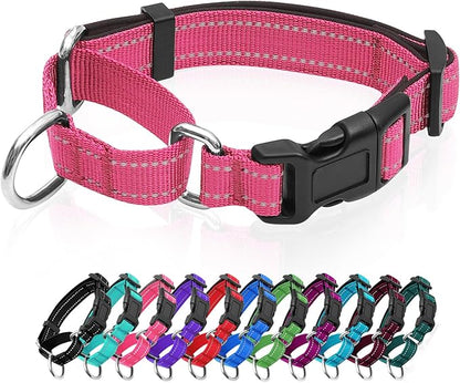 Reflective Martingale Dog Collars. Dog Collar with Quick