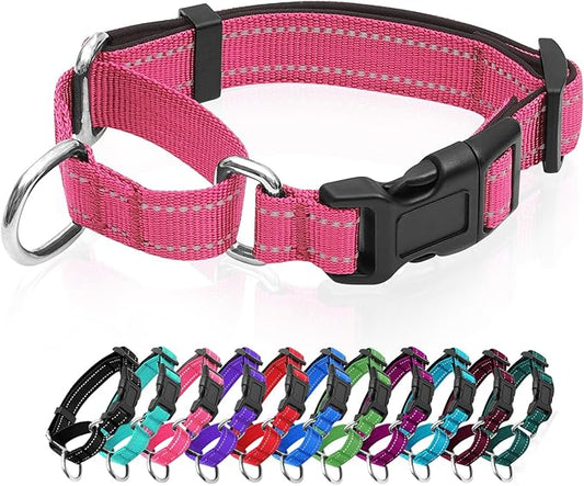 Reflective Martingale Dog Collars. Dog Collar with Quick