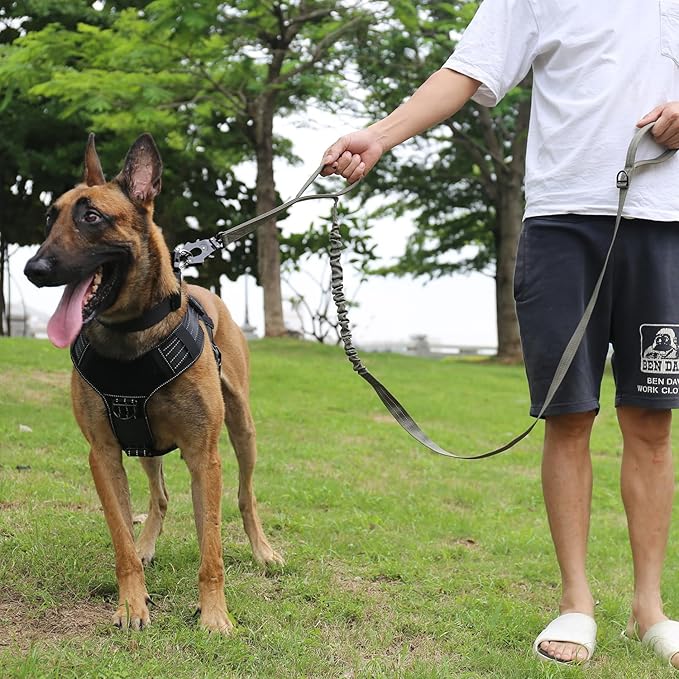 ICEFANG Tactical Dog Leash K9 Training 2 Control 6 FT)