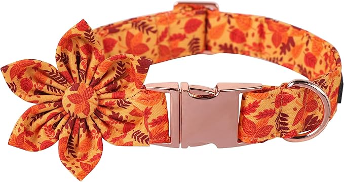 Lionet Paws Dog Collar with Flower 10-16in