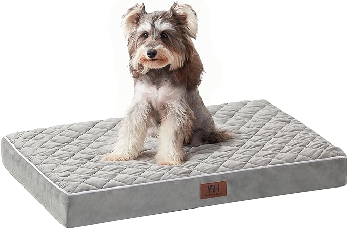 Orthopedic Dog Beds for Small Dogs with Removable Washable Cover 22 inch,