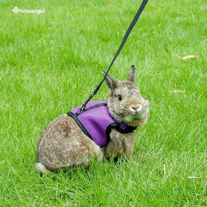 Niteangel Adjustable Soft Harness with Elastic Leash for Rabbits (S, Black)