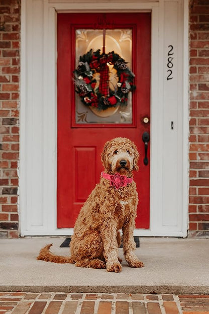 Elegant little tail Christmas Dog Collar