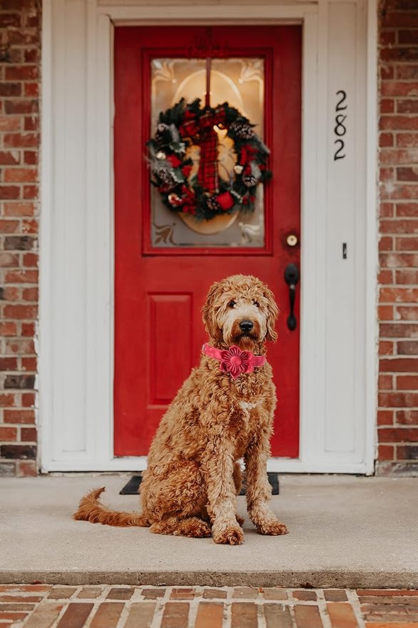 Elegant little tail Christmas Dog Collar