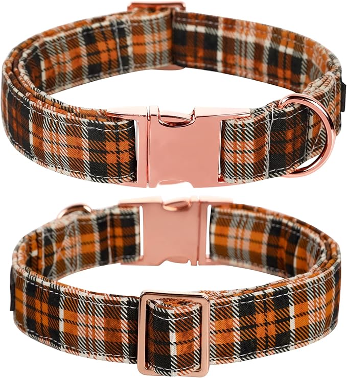 Lionet Paws Halloween Dog Collar with Bowtie 10-16in