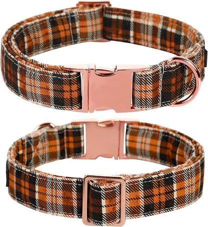 Lionet Paws Halloween Dog Collar with Bowtie 10-16in