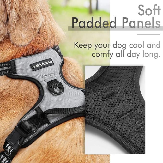 rabbitgoo Dog Harness, No-Pull Pet Harness with 2 Leash Clips, Adjustable Soft Padded Dog Vest, Reflective No-Choke Pet Oxford Vest with Easy Control Handle for Large Dogs, Grey, XL