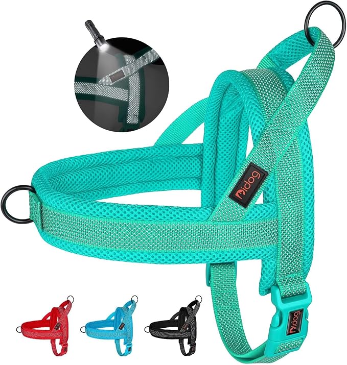 Didog No Pull Dog Harness with Breathable Mesh Padded, Full Reflective & Quick Fit Adjustable Vest Harness, Easy for Training Walking for Small & Medium and Large Dogs (Green, M)