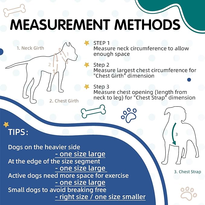 Tri-Color Dog Harness