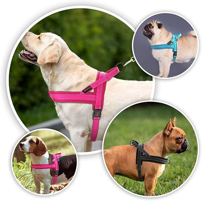 Didog Soft Mesh Padded Dog Vests Harness, Escape Proof/Quick Fit Reflective Dog Strap Harness,Easy for Walking Training (S:chest 18-22", Mesh-Hot Pink)