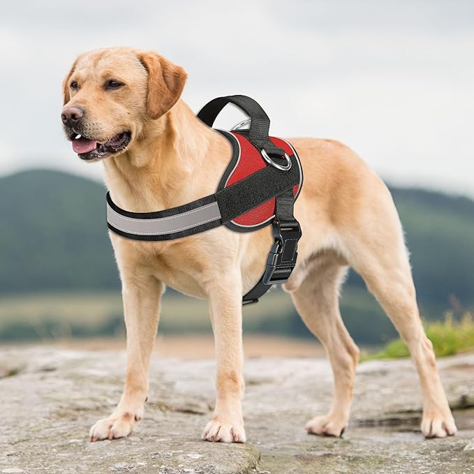 Haapaw Essential Dog Harness, No Pull Pet Vest with 3 Leash Clips, No Choke, Reflective, Adjustable and Padded, for Easy Walking and Training for Large Dogs(XL, Red)