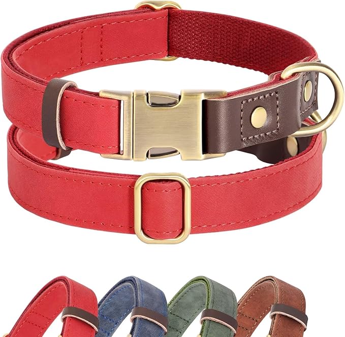 Didog Soft Padded Leather Dog Collars for Medium Dogs