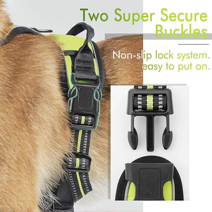 rabbitgoo Dog Harness, No-Pull Pet Harness with 2 Leash Clips, Adjustable Soft Padded Dog Vest, Reflective No-Choke Pet Oxford Vest with Easy Control Handle for Small Dogs, Wild Lime,S