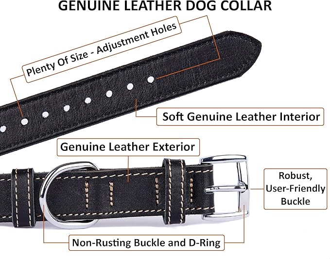 Soft Leather Dog Collar