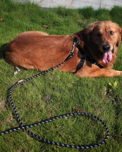 Long Dog Leash for Dog Training 10FT 16FT/30FT/50FT/100FT