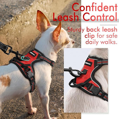 rabbitgoo Dog Harness 2 Leash