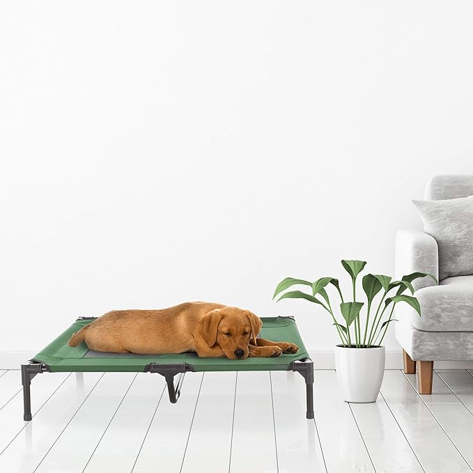 Elevated Dog Bed – 36x29.75 Portable Bed 80lbs by