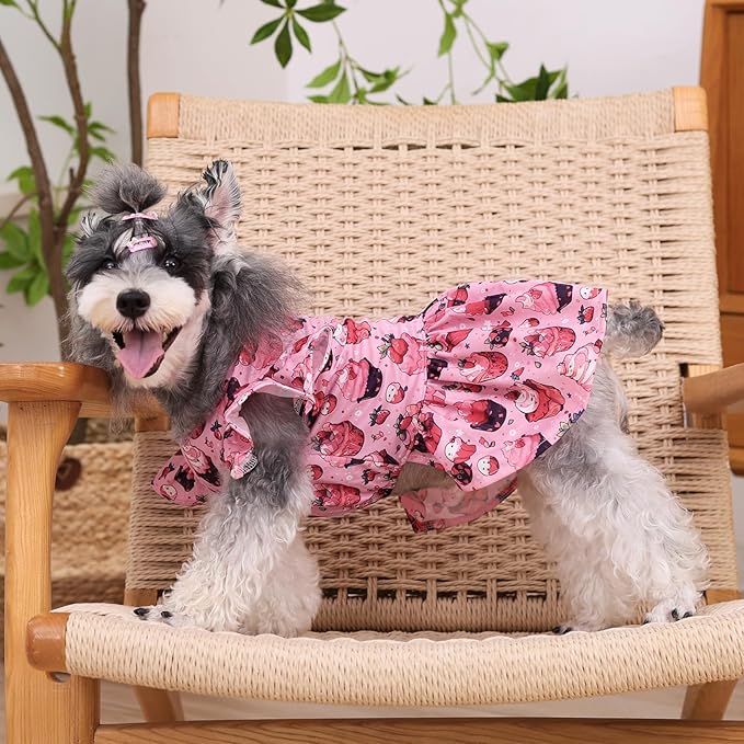 CuteBone Dog Dress Princess Puppy Birthday Dresses FX02S