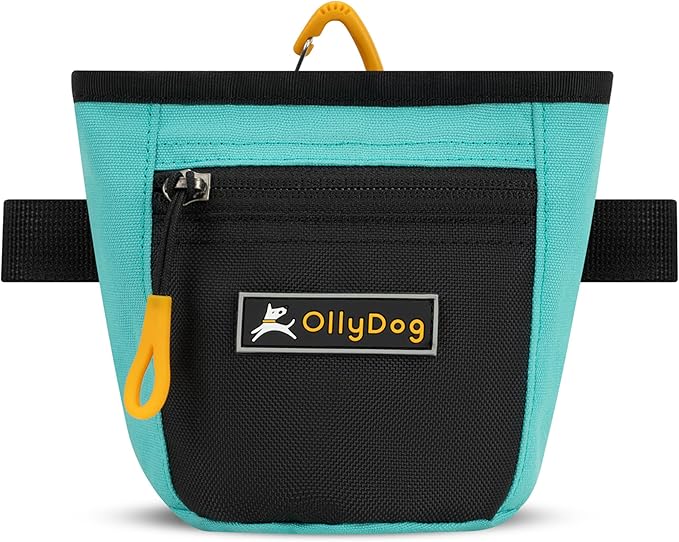 OllyDog Goodie Treat Bag, Dog Treat Pouch, Waist Belt Clip for Hands-Free Training, Magnetic Closure, Dog Training and Behavior Aids, Three Ways to Wear (Bright Aqua)